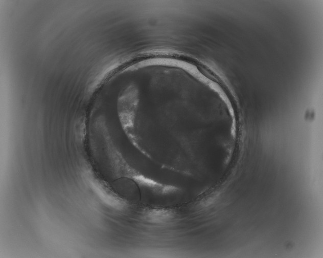 X0000111120063200907211100