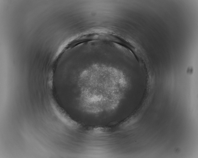 X0000111120064200907211100