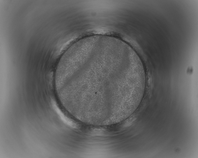 X0000111120066200907211100