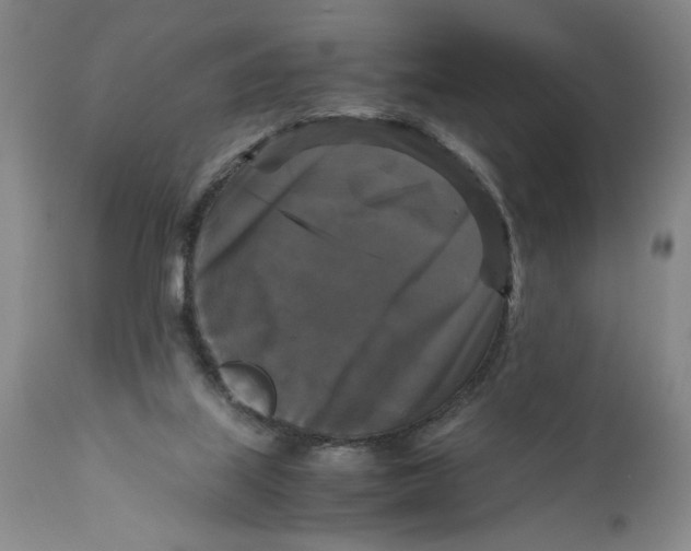 X0000111120067200907211100