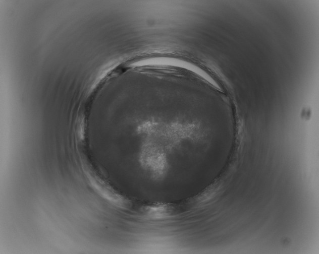 X0000111120068200907211100
