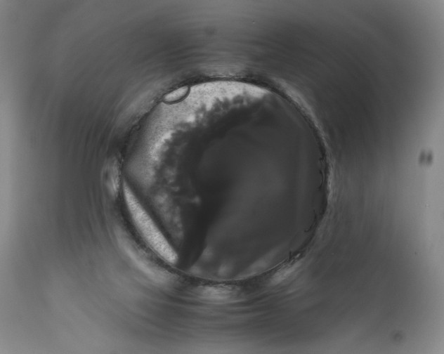 X0000111120069200907211100