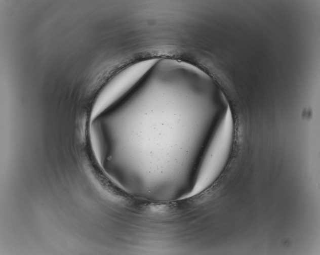 X0000111120070200907211100