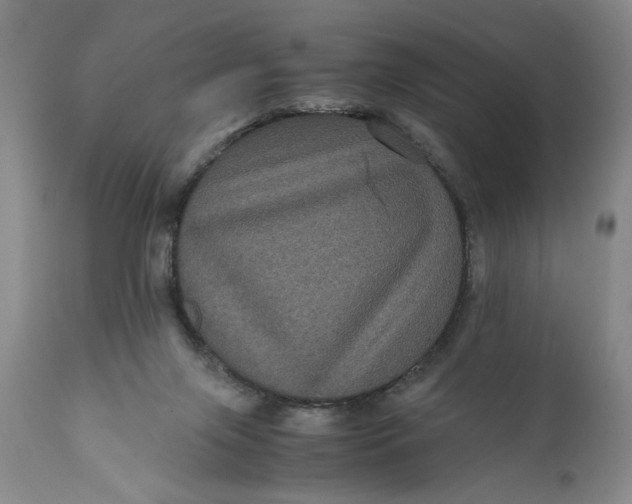 X0000111120071200907211100