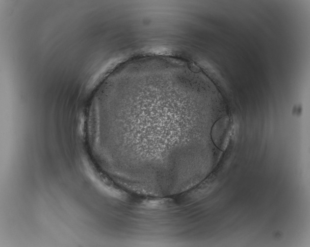 X0000111120072200907211100