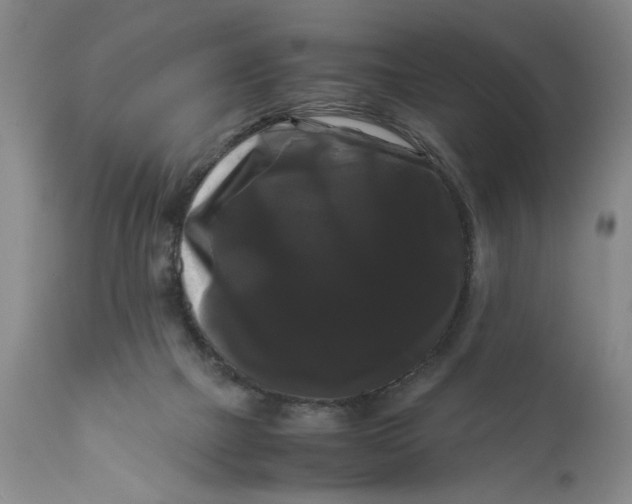 X0000111120073200907211100