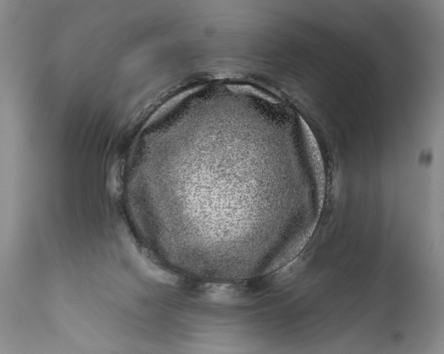 X0000111120074200907211100