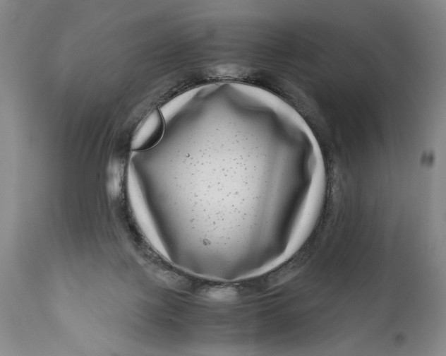 X0000111120075200907211100