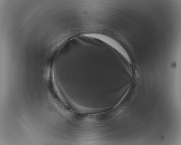 X0000111120076200907211100