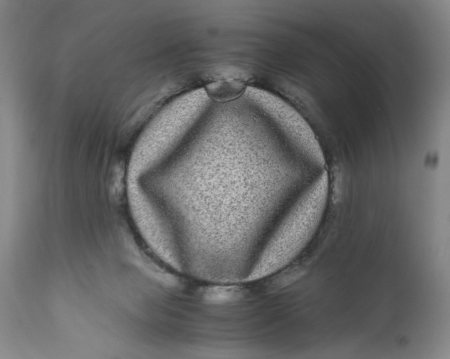 X0000111120077200907211100