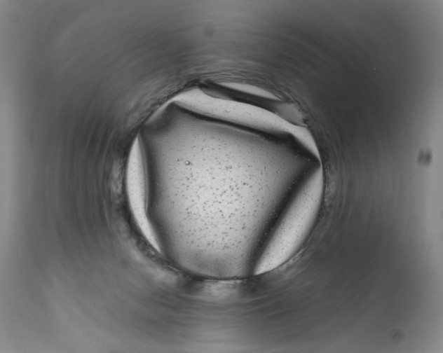 X0000111120078200907211100