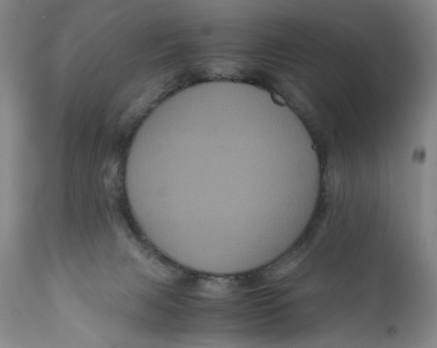 X0000111120079200907211100