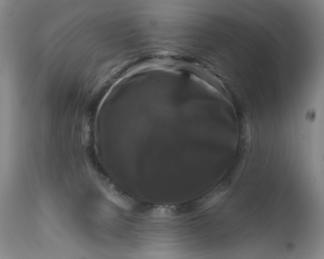 X0000111120080200907211100