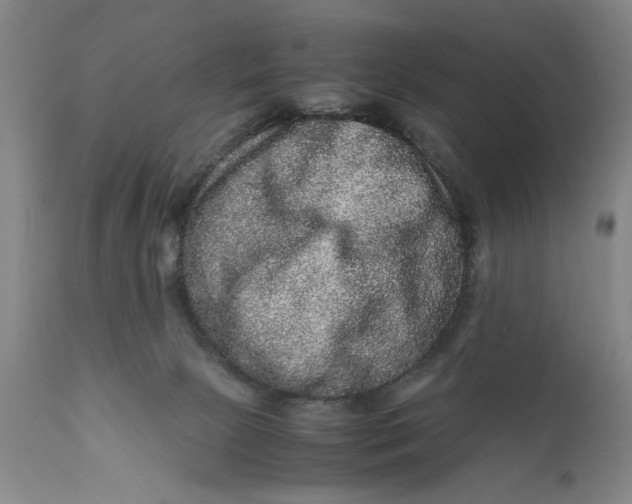 X0000111120081200907211100