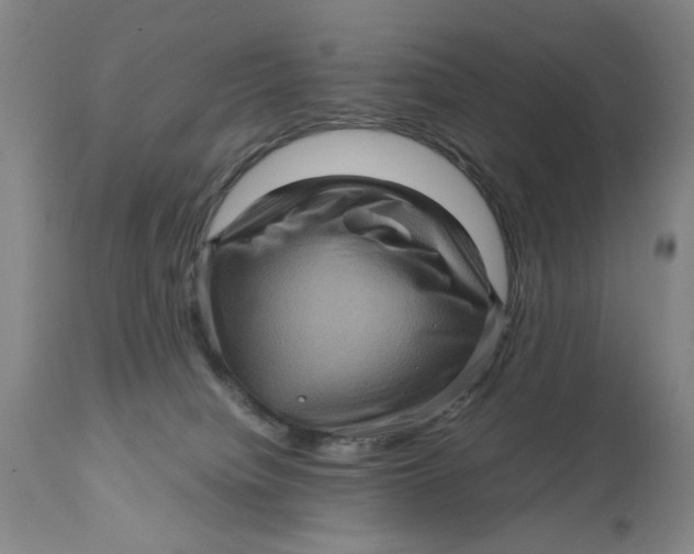 X0000111120084200907211100