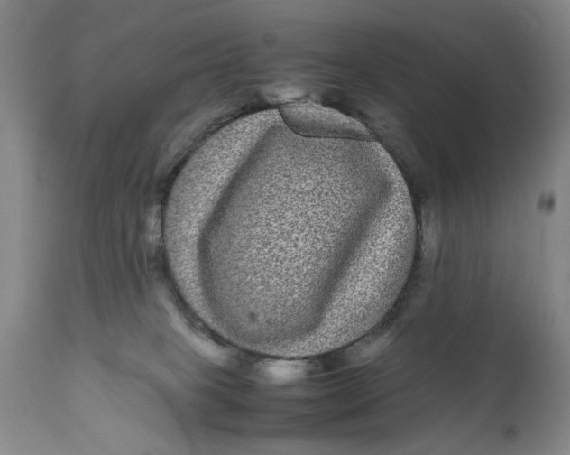 X0000111120085200907211100
