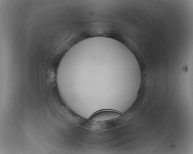 X0000111120087200907211100