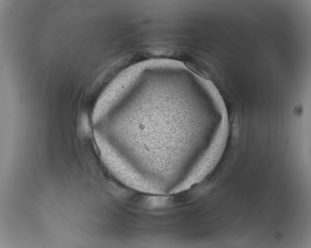 X0000111120089200907211100