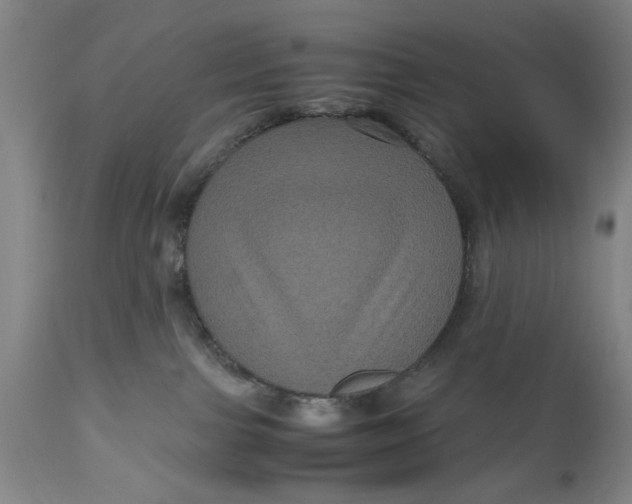 X0000111120091200907211100