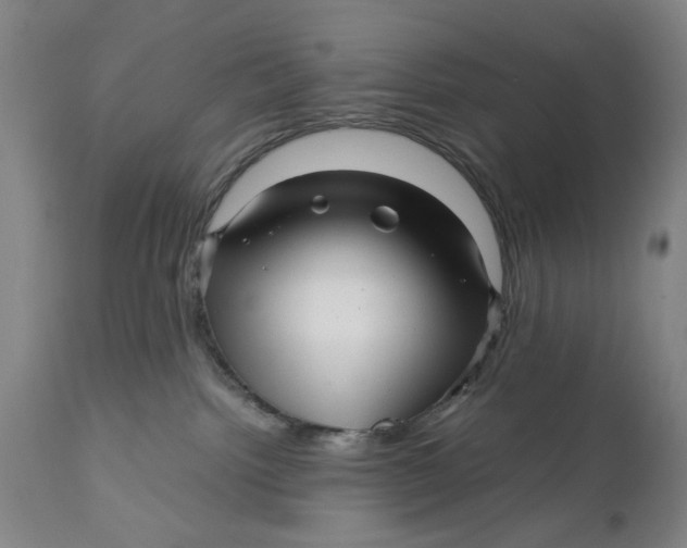 X0000111120092200907211100
