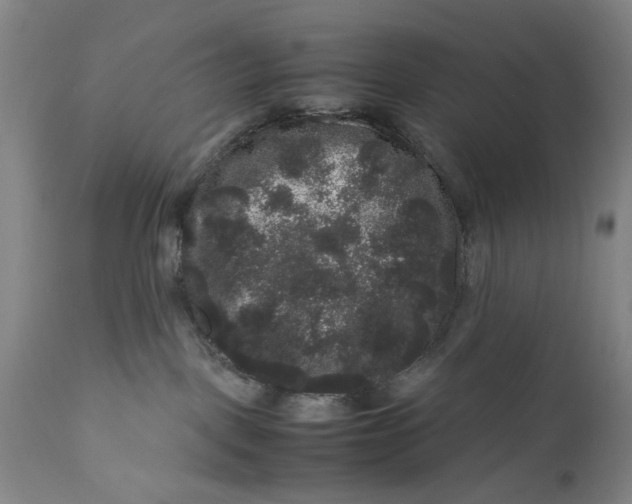 X0000111120093200907211100