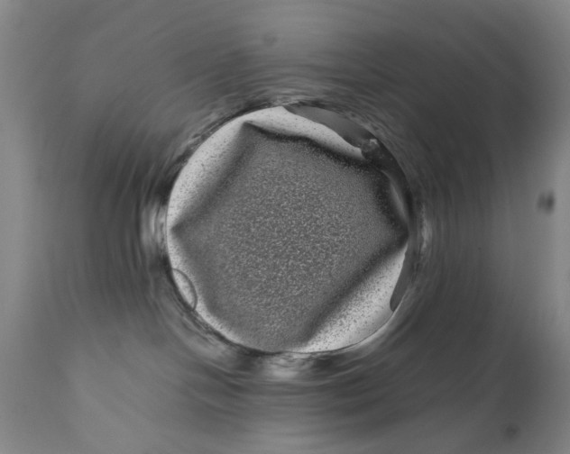 X0000111120094200907211100