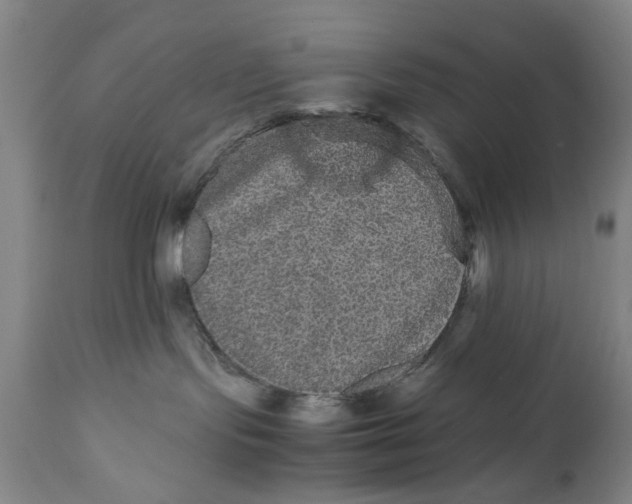 X0000111120095200907211100