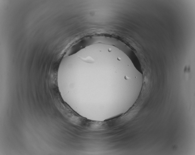 X0000111120096200907211100