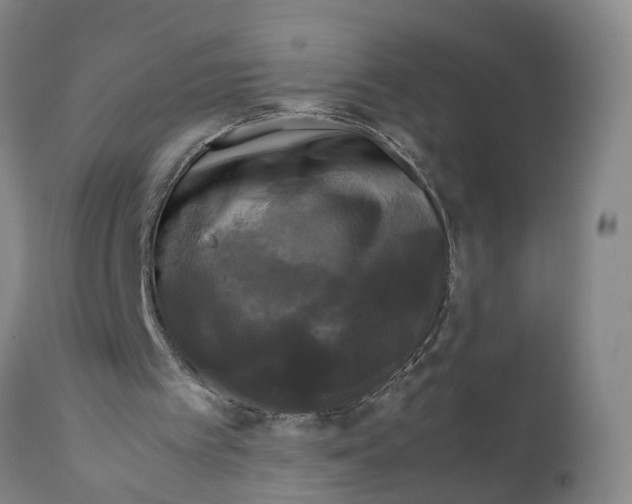 X0000111120097200907211059