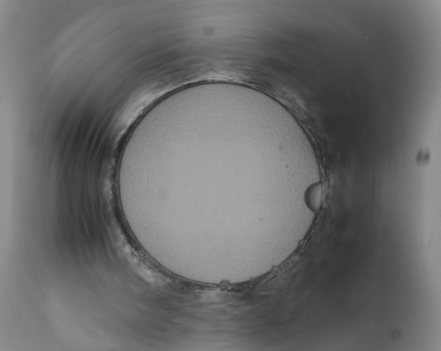 X0000111120098200907211059