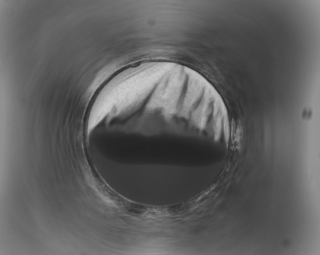 X0000111120099200907211059