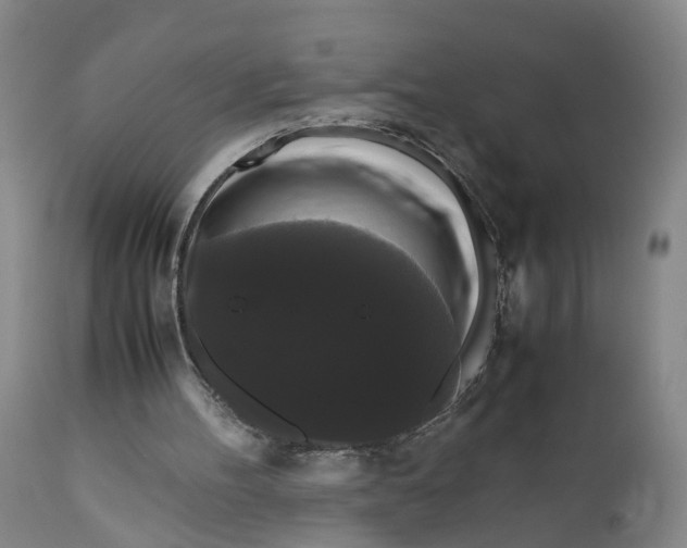 X0000111120100200907211059