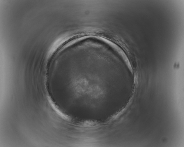 X0000111120101200907211059