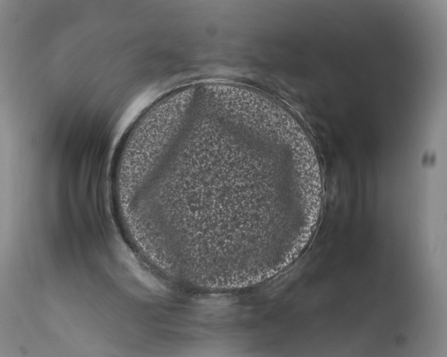 X0000111120102200907211059