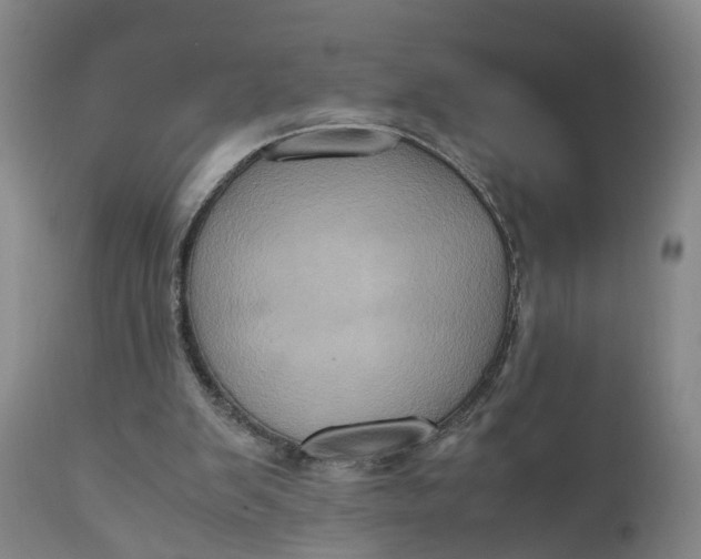 X0000111120103200907211059