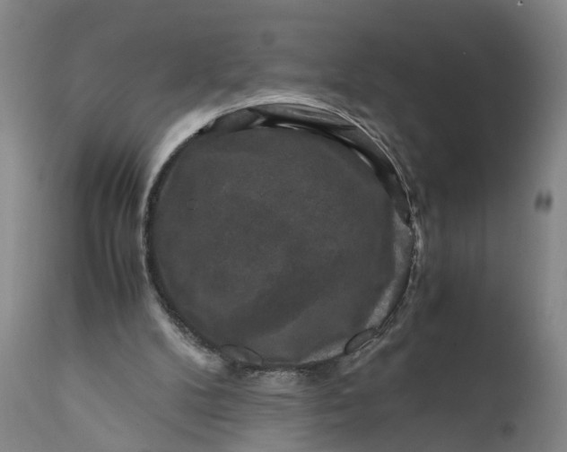 X0000111120104200907211059
