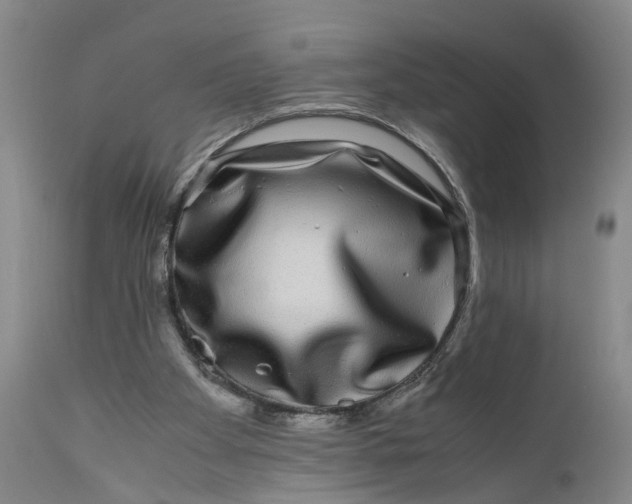 X0000111120105200907211059