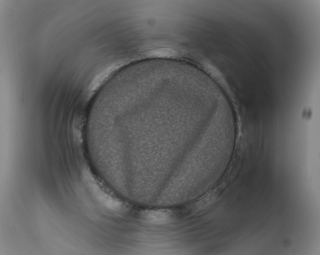 X0000111120106200907211059