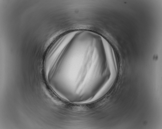 X0000111120107200907211059