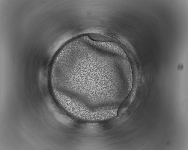 X0000111120108200907211059