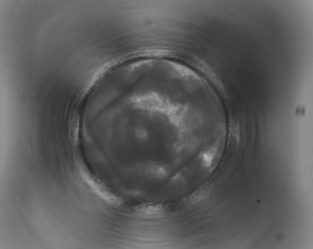 X0000111120110200907211059