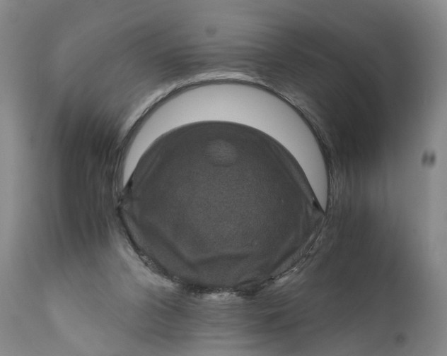 X0000111120112200907211059