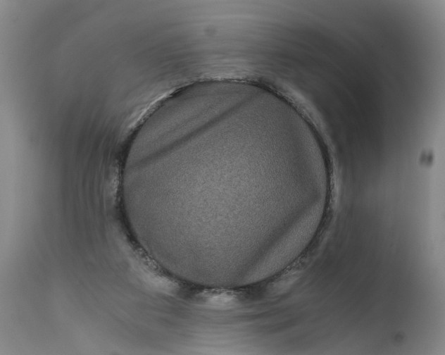 X0000111120113200907211059