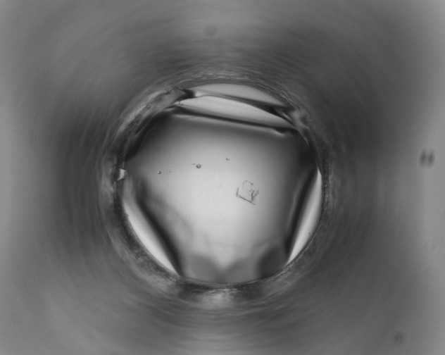 X0000111120116200907211059