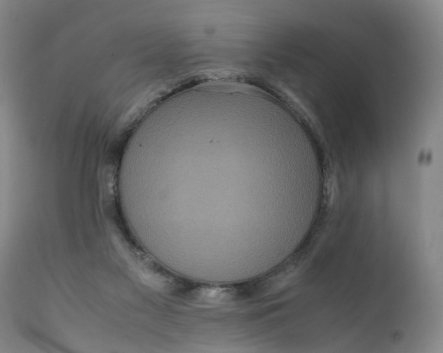 X0000111120117200907211059