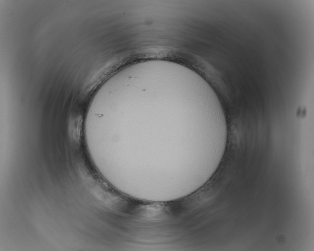 X0000111120118200907211059