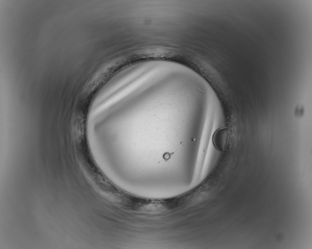 X0000111120119200907211059