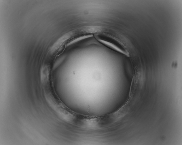 X0000111120120200907211059