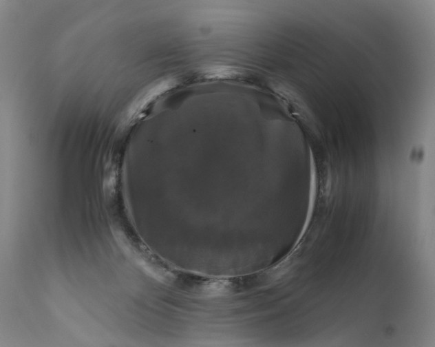 X0000111120124200907211059