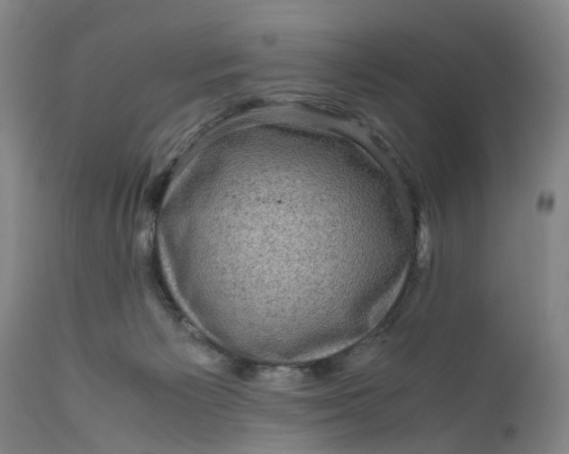 X0000111120125200907211059